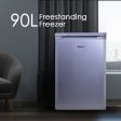 90L Chest, Upright, Freestanding Freezer (PPFZ99) Silver For Cheap