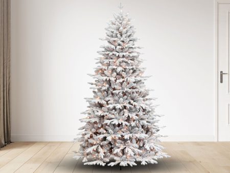 7.5 ft Iceland Fir Christmas Tree with 900 M4 Warm White LED, 54D For Cheap