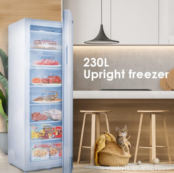 230L Chest Freezer, Upright freezer, Freestanding Freezer 230L (PPFZ230) For Cheap