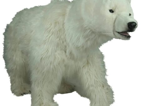 Polar Bear Lorek 71 L Online Sale