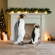 Snares Penguin 21.2 H Fashion