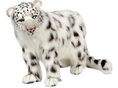 Snow Leopard on Sale