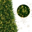 9 ft Slim Montauk Fir Christmas Tree with 1100 3mm Dual Color, Twinkle lights - 9 Function, 69D Online Sale