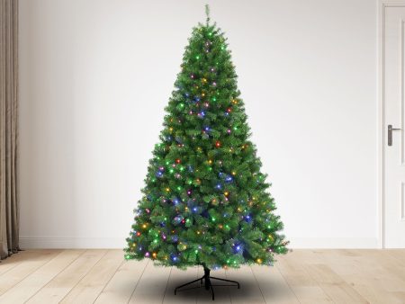 7.5 ft Montauk Supreme Christmas Tree with 800 3mm Dual Color lights - 9 Function, 55D For Discount