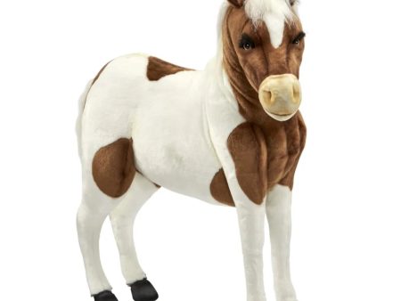 Shetland Pony White & Brown 42 L Online now